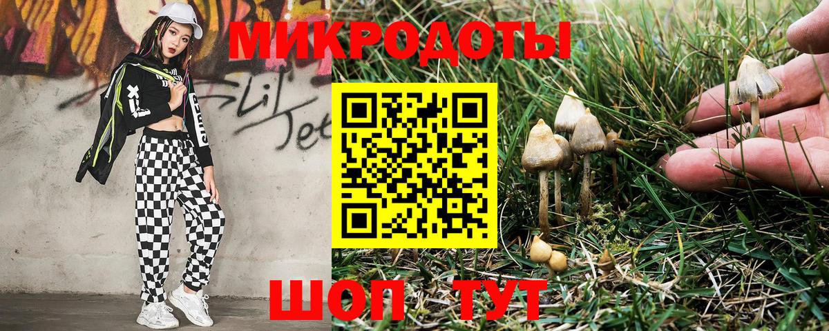 Реутов  Псилоцибиновые грибы мухоморы  Вход с VPN  продажа наркотиков  Псилоцибиновые грибы ЛСД 